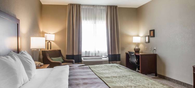 舒适酒店-爱丁堡南(Comfort Inn Edinburg South)图片