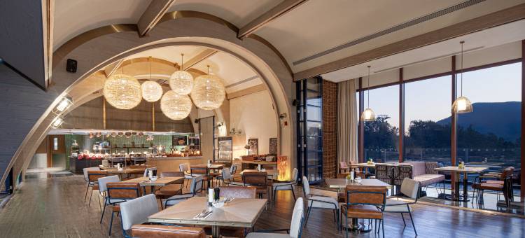 南京园博园英迪格酒店图片