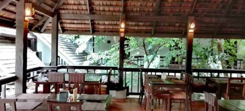 清迈雨林酒店(Rainforest ChiangMai Hotel)图片