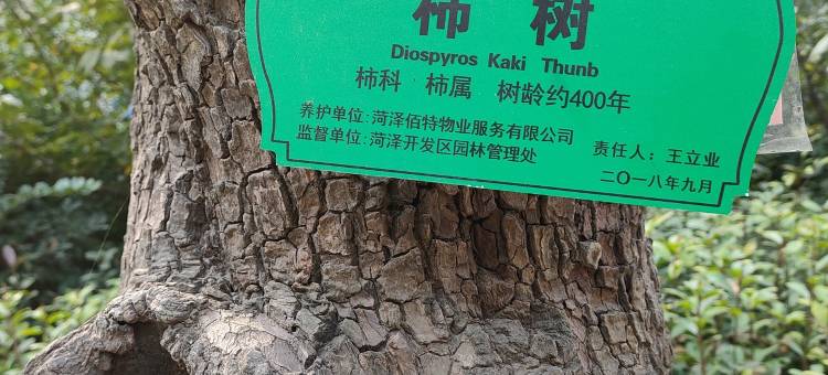 愉见民宿(五屯路分店)图片
