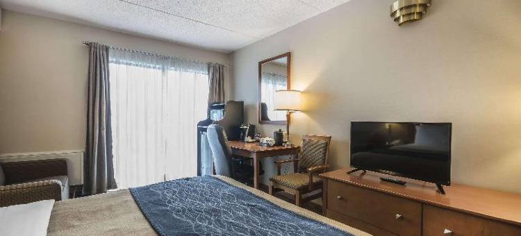 舒适酒店(Comfort Inn)图片