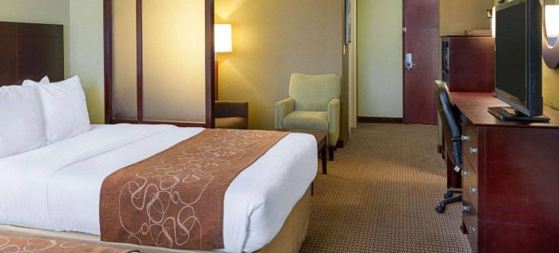 舒适套房酒店-哈维-新奥尔良西(Comfort Suites Harvey - New Orleans West)图片