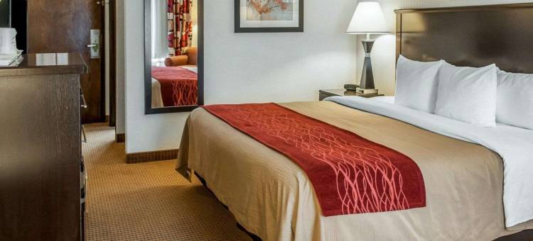 法明顿凯艺套房酒店(Quality Inn & Suites Farmington)图片