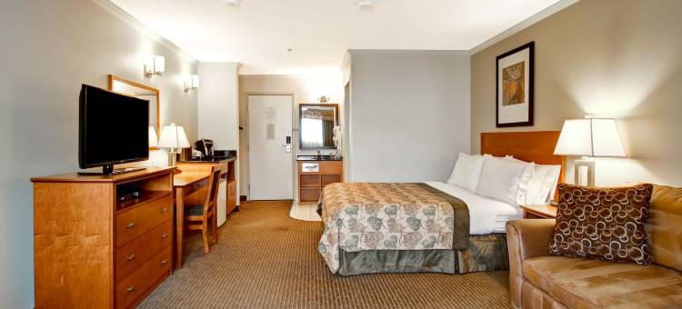 卡纳尔塔侏罗纪酒店 – 德拉姆赫勒(Canalta Jurassic)图片