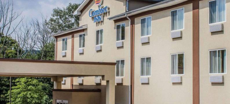 康乃迪克诺格塔克谢尔顿舒适酒店(Comfort Inn Naugatuck-Shelton, CT)图片