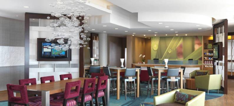 棕榈沙漠万豪SpringHill Suites酒店(SpringHill Suites Palm Desert)图片