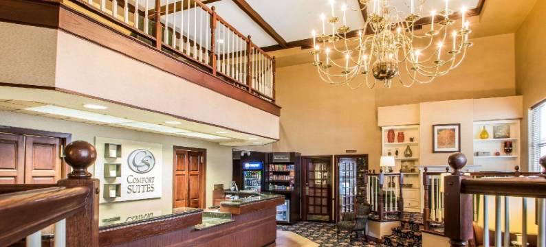 麦迪逊舒适套房酒店(Comfort Suites Madison West)图片