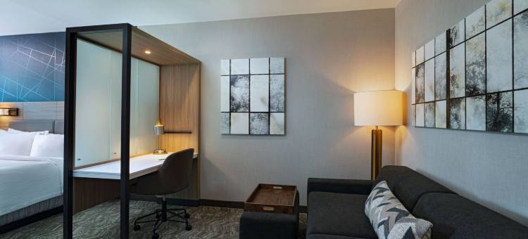 Marriott Austin North的SpringHill套房(SpringHill Suites by Marriott Austin North)图片