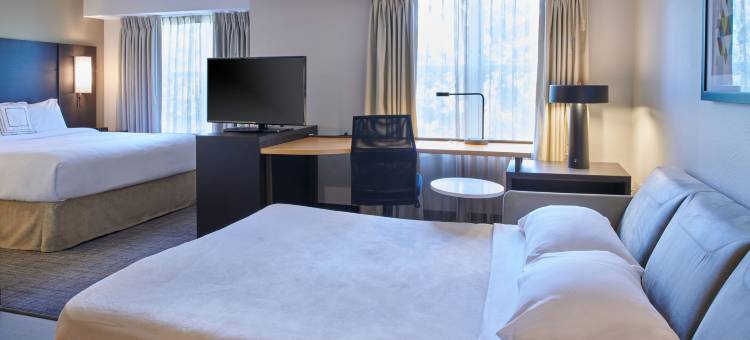底特律诺维Residence Inn 酒店(Residence Inn Detroit Novi)图片