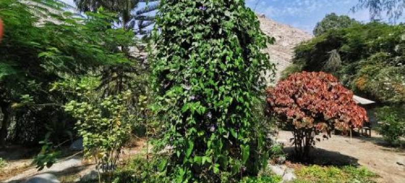 Villa Celestial图片