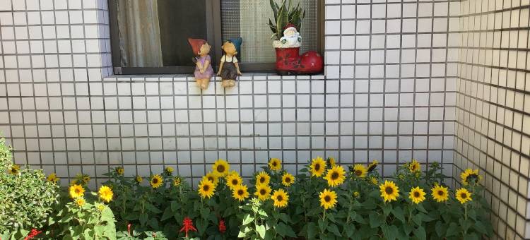 华山禾园休闲民宿图片