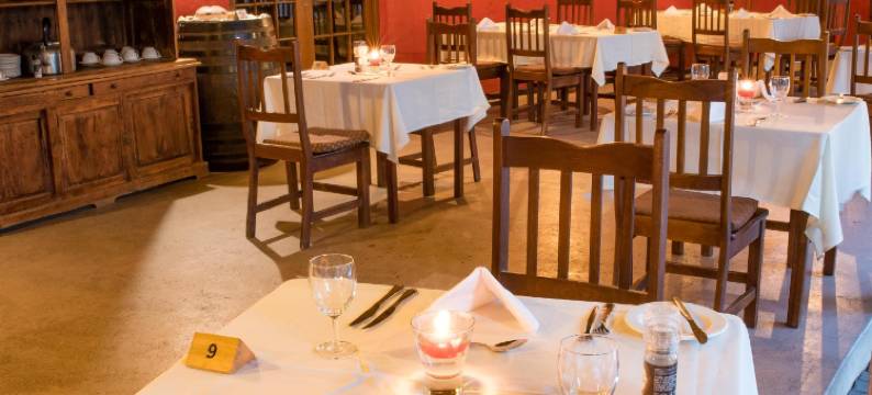 赛非派旅行旅舍(Sefapane Lodge and Safaris)图片