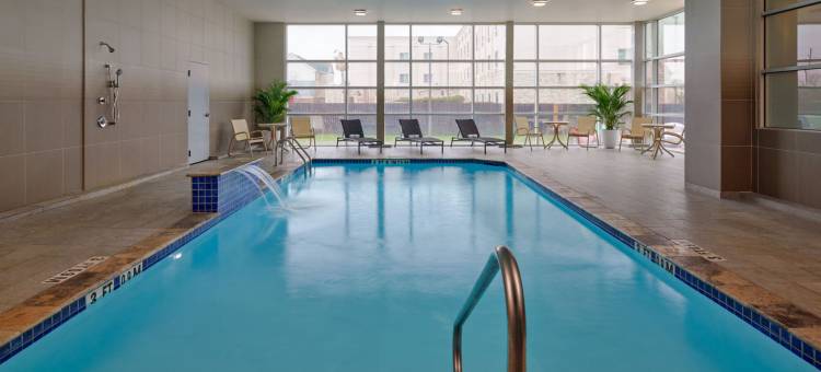 休斯顿洲际机场福朋喜来登酒店(Four Points by Sheraton Houston InterContinental Airport)图片