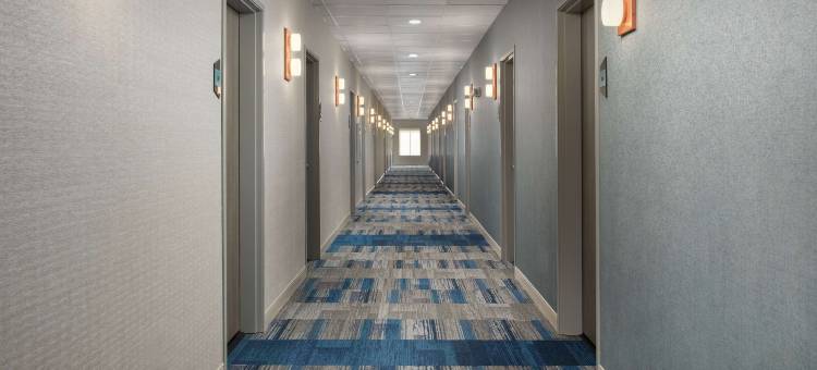 达拉斯花岗希尔顿惠庭酒店(Home2 Suites by Hilton Flower Mound Dallas)图片
