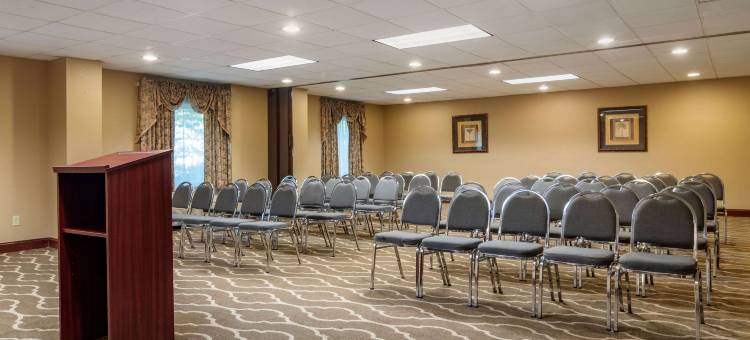 萨沃尼舒适套房酒店-秀格尔洛弗(Comfort Inn & Suites Suwanee - Sugarloaf)图片