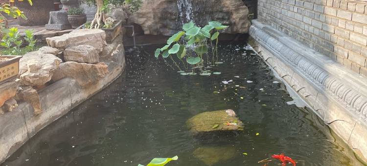 洛阳龙凤山景区紫桂圆民宿图片