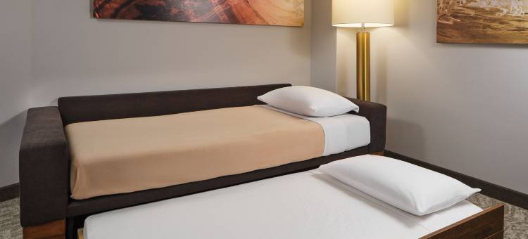 杰克逊维尔贝梅多斯SpringHill Suites酒店(SpringHill Suites Jacksonville Baymeadows)图片