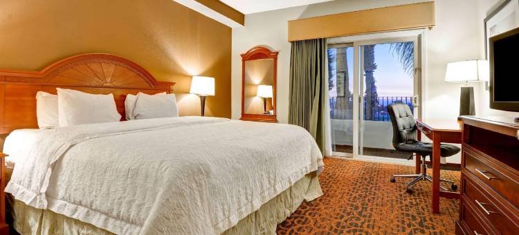 圣克莱门特欢朋套房酒店(Hampton Inn & Suites San Clemente)图片