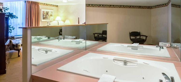 新城伊康旅馆(Econo Lodge Metro)图片