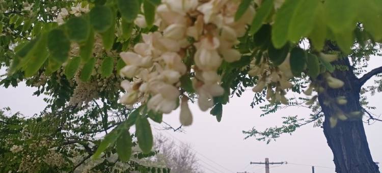 津门客栈图片