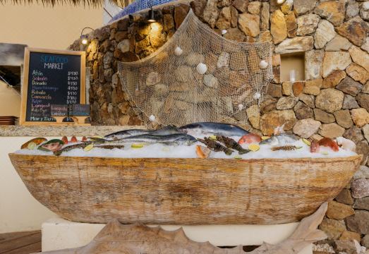 Cala de Mar Resort & Spa Ixtapa Hotel Overview