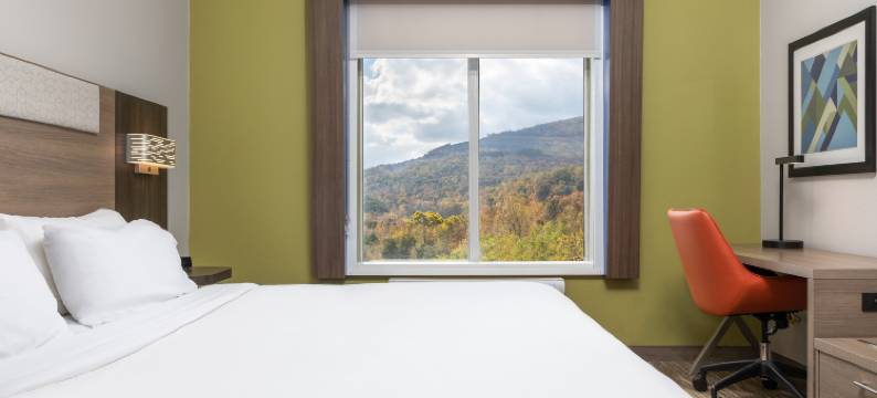 智选假日套房酒店查塔努加，望风MTN(Holiday Inn Express & Suites CHATTANOOGA-LOOKOUT MTN by IHG)图片