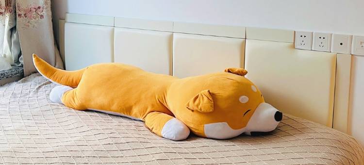 鑫鑫2公寓(南新纵二路分店)图片