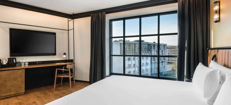 巴塞罗华沙波维斯勒酒店(Barceló Warsaw Powisle)图片