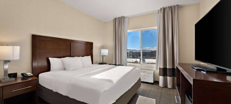 里诺机场舒适套房酒店(Comfort Inn & Suites Airport Convention Center)图片