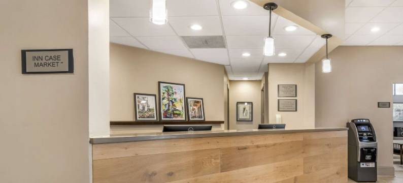 新奥尔良梅塔里丽怡酒店(Country Inn & Suites by Radisson, Metairie (New Orleans), La)图片