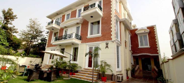 Collection O Sakshi图片