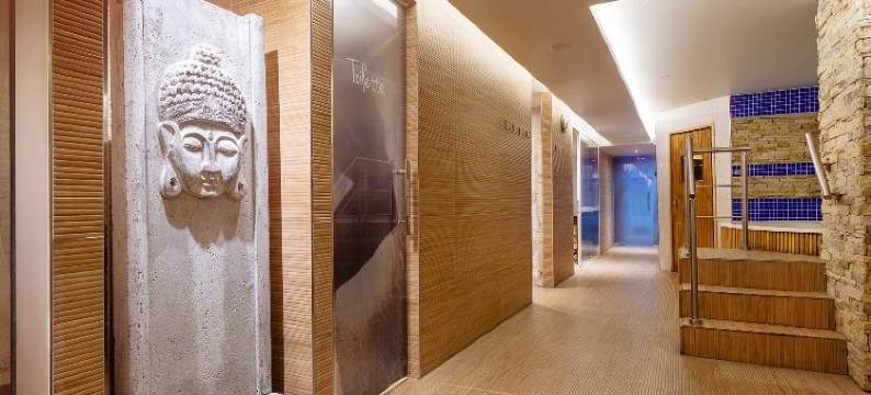 共和Spa酒店(Hotel Spa Republica)图片