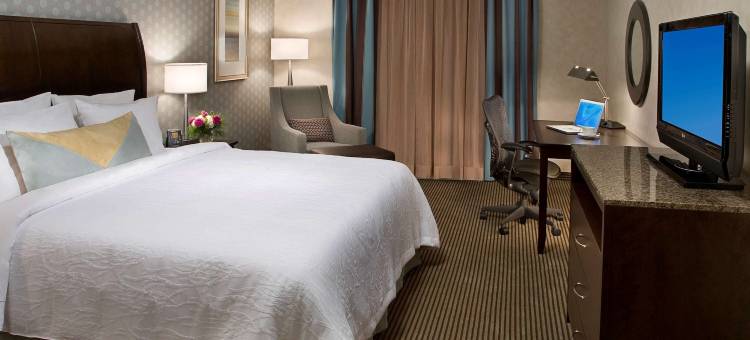 安大略米西索加机场西希尔顿花园旅馆(Hilton Garden Inn Toronto Airport West/Mississauga)图片