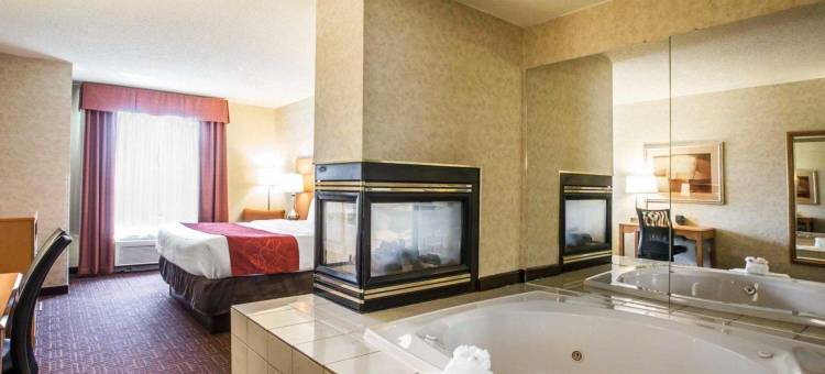 哈尼斯商场舒适套房酒店(Comfort Suites Hanes Mall)图片