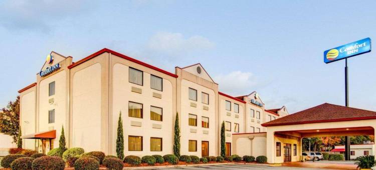 舒适酒店哥伦布近本宁堡(Comfort Inn Columbus Near Fort Moore)图片