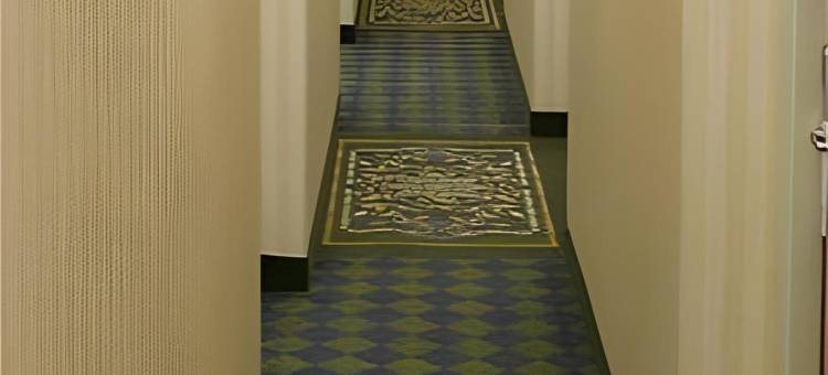 本顿港丽怡酒店(Country Inn & Suites By Radisson Benton Harbor)图片