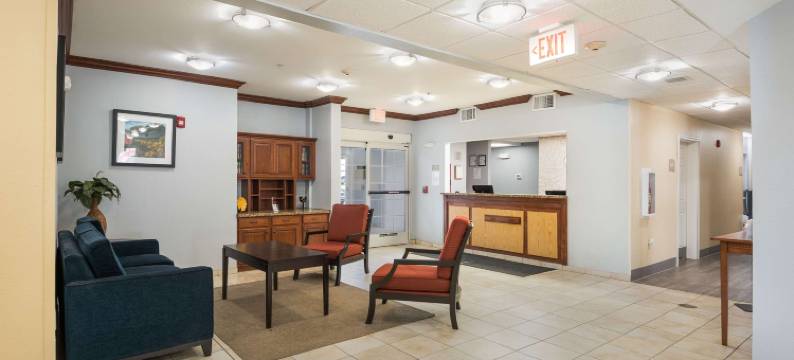 滑铁卢郊区开间公寓(Suburban Studios Waterloo)图片