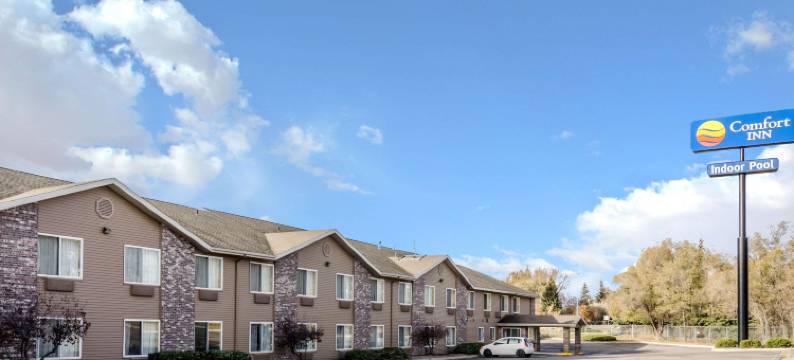 舒适酒店(Comfort Inn)图片