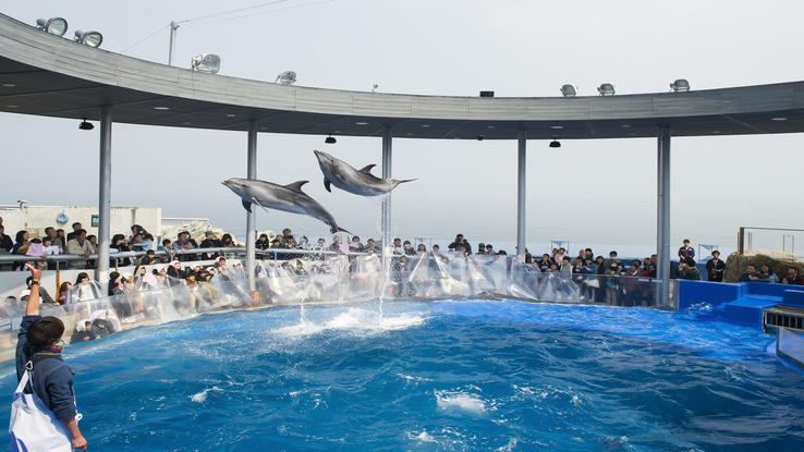 Hotel Sun Valley Annex Over view