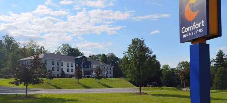 舒适套房酒店(Comfort Inn & Suites)图片