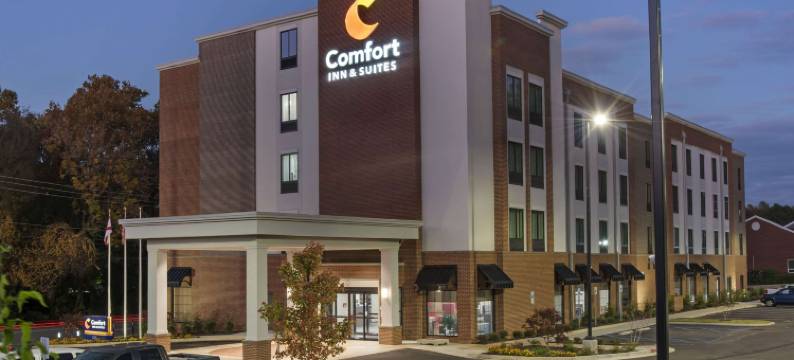 市中心舒适套房酒店-近大学(Comfort Inn & Suites Downtown Near University)图片