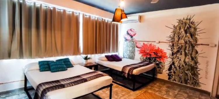 卡萨洛斯阿布埃洛斯酒店(Hotel Casa Los Abuelos)图片