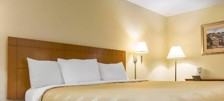 凯艺套房酒店(Quality Inn & Suites)图片