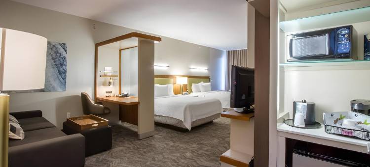 圣安吉洛万豪SpringHill Suites 酒店(SpringHill Suites San Angelo)图片