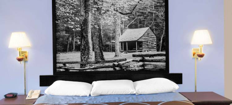 怀特维尔速8酒店(Super 8 by Wyndham Whiteville)图片