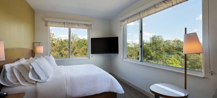 斯普林瓦利源宿酒店(Element Spring Valley)图片