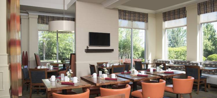 列克星敦希尔顿花园酒店(Hilton Garden Inn Lexington Hamburg)图片