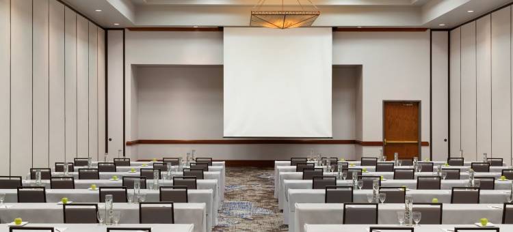 国际机场DFW北外界希尔顿安泊酒店(Embassy Suites by Hilton Grapevine DFW Airport North)图片