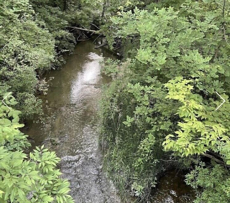 Executive house Hotel Overview