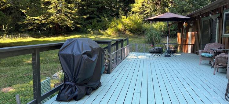 Peaceful, private 3BD home nestled in the redwoods图片